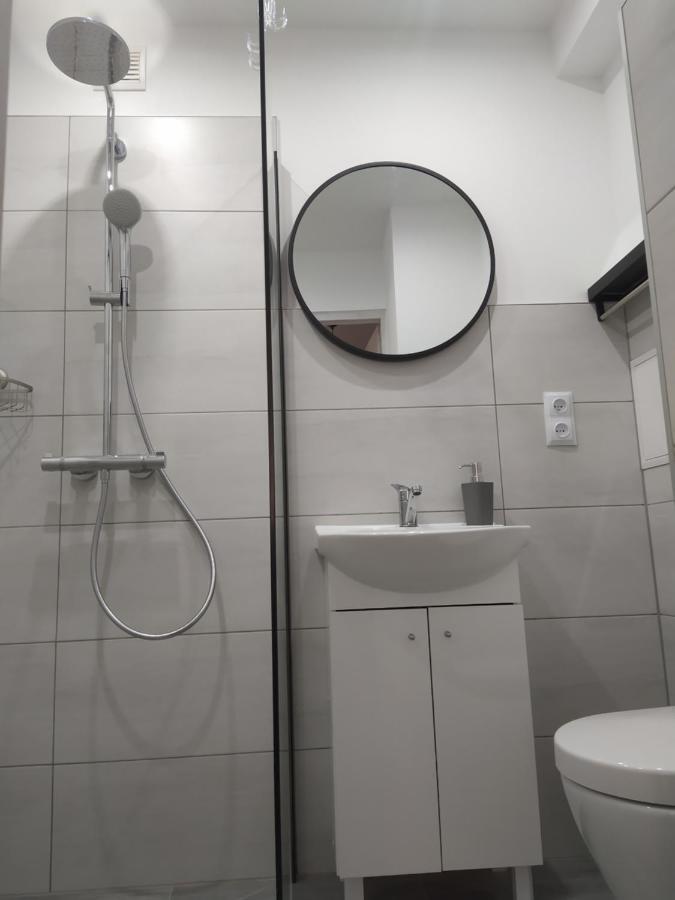 Babcares Apa Gory Izerskie Apartment Mirsk Exterior photo