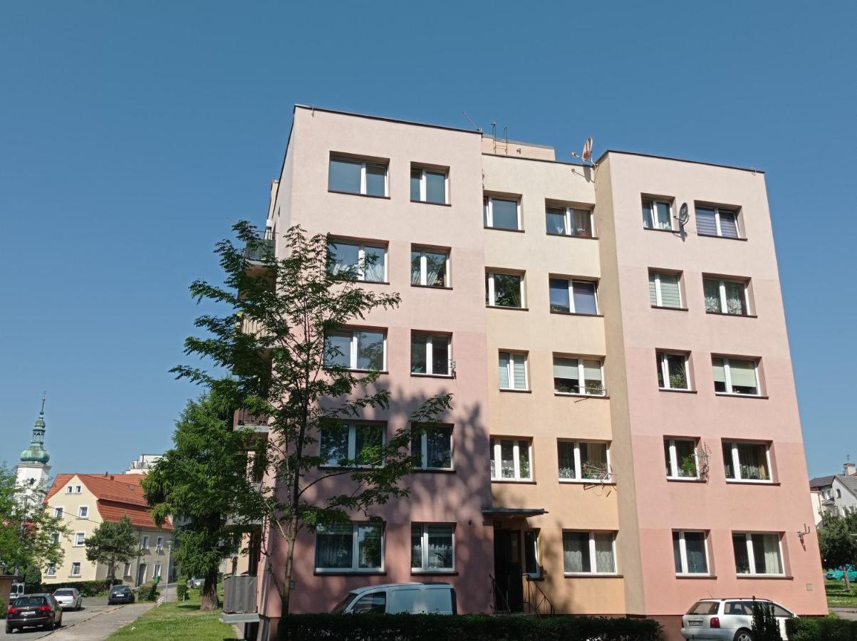 Babcares Apa Gory Izerskie Apartment Mirsk Exterior photo